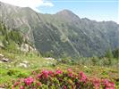 Valmontasca